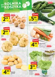 Gazetka promocyjna Intermarche - Świeżo i tanio - Gazetka - ważna od 16.03 do 16.03.2022 - strona 12 - produkty: Cebula, Ogórek, Sałat, Grunt, Masło