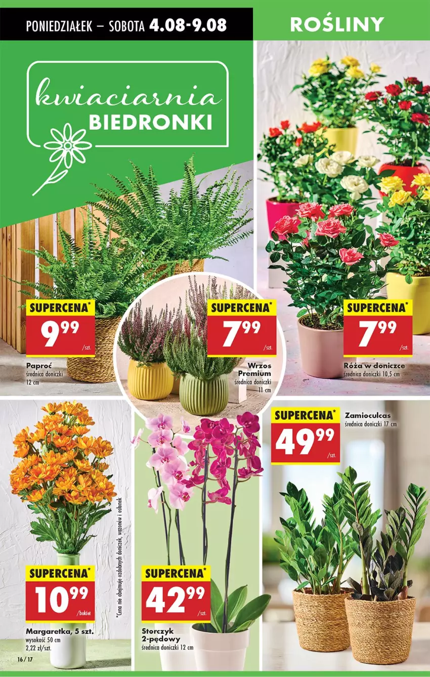 Gazetka promocyjna Biedronka - Od Poniedziałku - ważna 04.08 do 09.08.2025 - strona 21 - produkty: Bukiet, Fa, Róża, Sok, Storczyk, Wazon