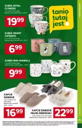Gazetka promocyjna Stokrotka - Supermarket - Gazetka - ważna od 02.10 do 02.10.2024 - strona 29 - produkty: Warzywa, Kapcie, Owoce, Kubek, Mięso