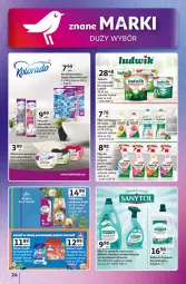 Gazetka promocyjna Auchan - Znane marki duży wybór Hipermarket - Gazetka - ważna od 10.09 do 10.09.2025 - strona 24 - produkty: Ludwik, Spray do czyszczenia, Dezodorant, Tablet, Mola, Kolorado, Sanytol, Zmywarki