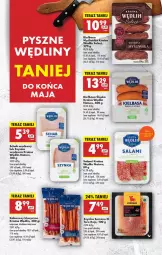 Gazetka promocyjna Biedronka - Od Poniedziałku - Gazetka - ważna od 31.05 do 31.05.2025 - strona 33 - produkty: Ser, Salami, Tera, Szynka, Kabanos, Kiełbasa