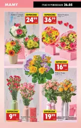 Gazetka promocyjna Biedronka - Od Poniedziałku - Gazetka - ważna od 31.05 do 31.05.2025 - strona 5 - produkty: Sok, Róża, Bukiet