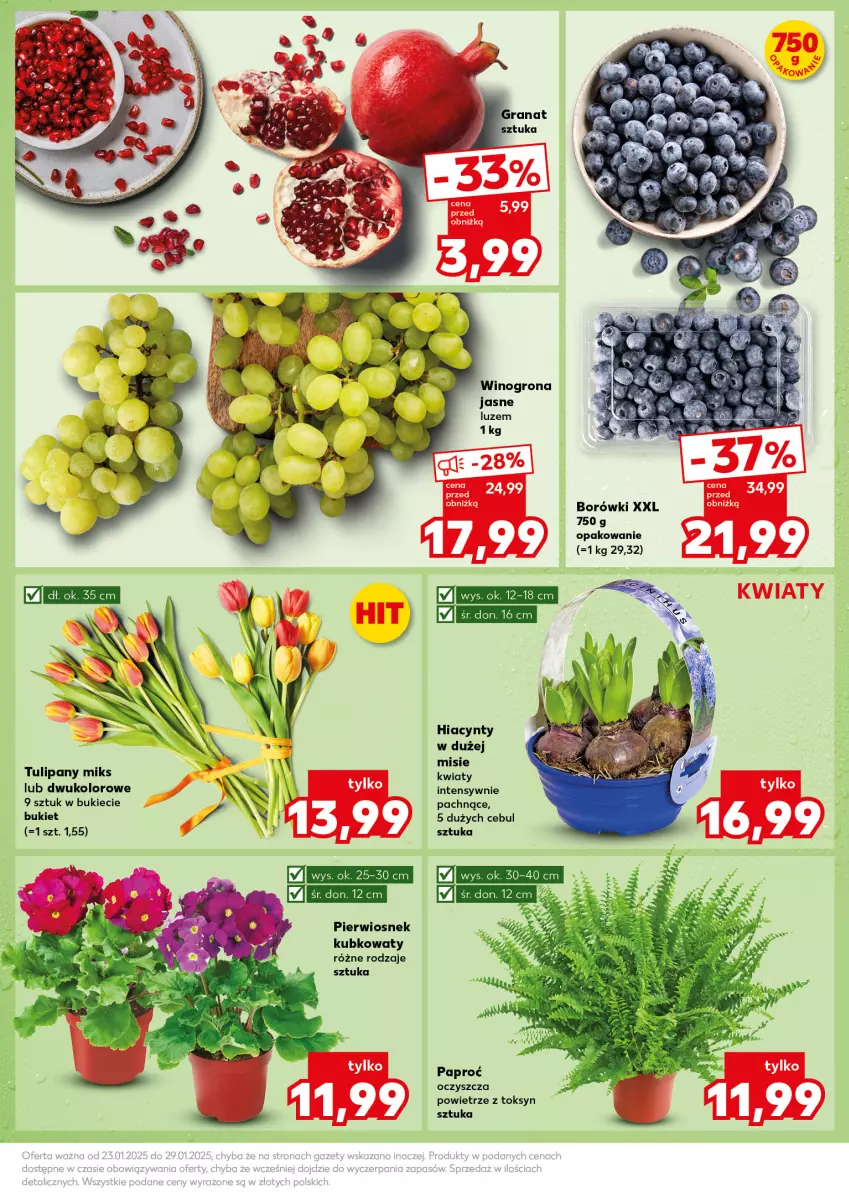 Gazetka promocyjna Kaufland - Mocny Start - ważna 27.01 do 29.01.2025 - strona 13 - produkty: Bukiet, Hiacynt, Tulipan, Wino, Winogrona