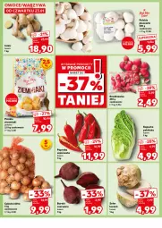 Gazetka promocyjna Kaufland - Mocny Start - Gazetka - ważna od 29.01 do 29.01.2025 - strona 12 - produkty: Piec, Cebula, Seler korzeń, Ziemniaki, Buraki, Szpic, Rzodkiewka