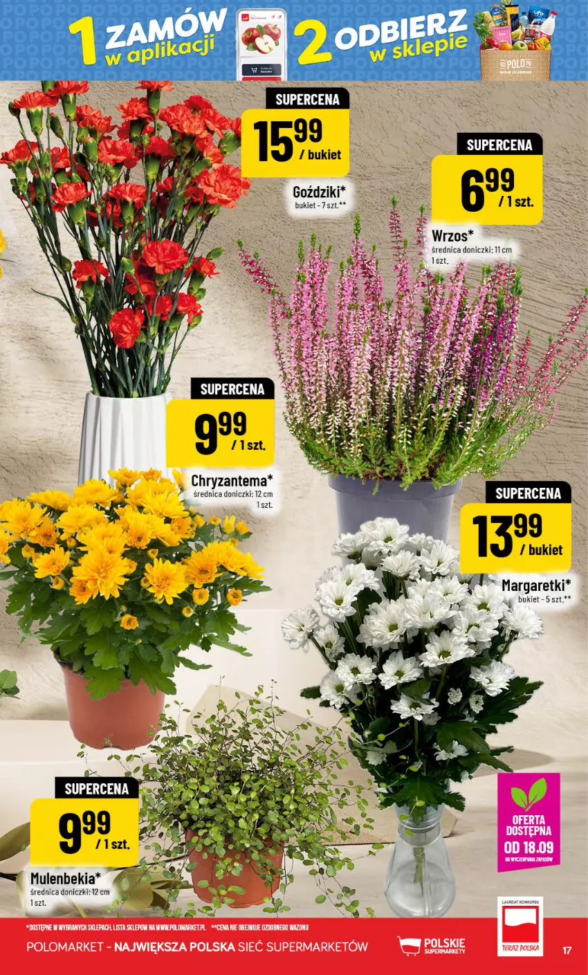 Gazetka promocyjna PoloMarket - Gazetka POLOmarket - ważna 16.09 do 22.09.2026 - strona 17 - produkty: Bukiet, Chryzantema, Mule