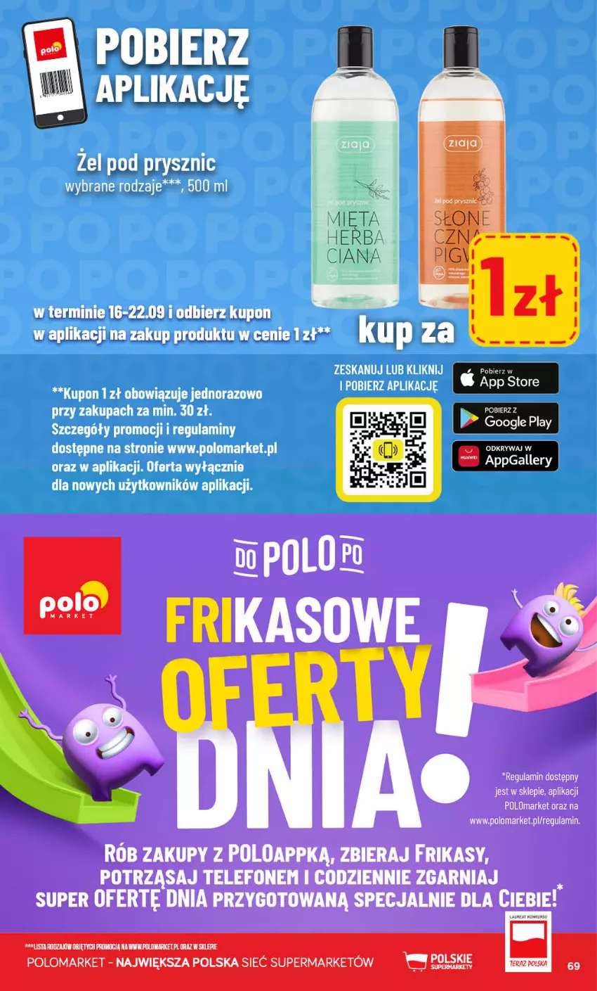 Gazetka promocyjna PoloMarket - Gazetka POLOmarket - ważna 16.09 do 22.09.2026 - strona 69 - produkty: Mięta, Tera