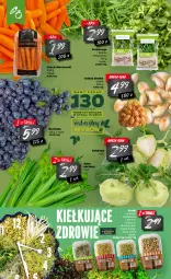 Gazetka promocyjna Netto - Gazetka spożywcza - Gazetka - ważna od 20.03 do 20.03.2021 - strona 4 - produkty: Cebula, Borówka, Fasoli mung, Roszponka, Rukola, Zdrowie, Siatka, Kiełki, Prima, Seler naciowy, Fa