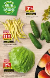 Gazetka promocyjna Biedronka - od Poniedziałku - Gazetka - ważna od 15.07 do 15.07.2023 - strona 20 - produkty: Sałata lodowa, Rama, Ogórek, LANA, Sałat, Grunt, Fa