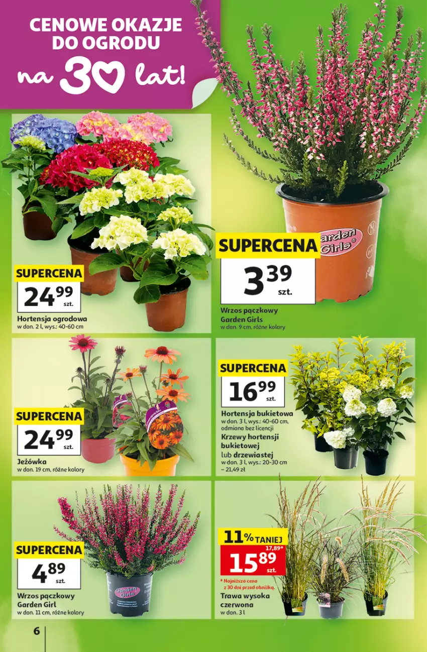 Gazetka promocyjna Auchan - 30 Lat Hipermarket - ważna 20.08 do 26.08.2026 - strona 6 - produkty: Bukiet, Sok