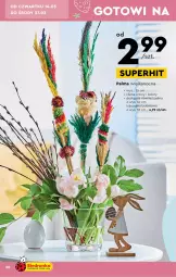 Gazetka promocyjna Biedronka - Gazetka - ważna od 24.03 do 24.03.2024 - strona 20 - produkty: Palma, Bukiet