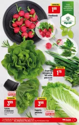 Gazetka promocyjna PoloMarket - Gazetka pomocyjna - Gazetka - ważna od 31.01 do 31.01.2022 - strona 13 - produkty: Natka pietruszki