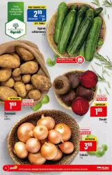 Gazetka promocyjna PoloMarket - Gazetka pomocyjna - Gazetka - ważna od 31.01 do 31.01.2022 - strona 14 - produkty: Ogórek, Ogród