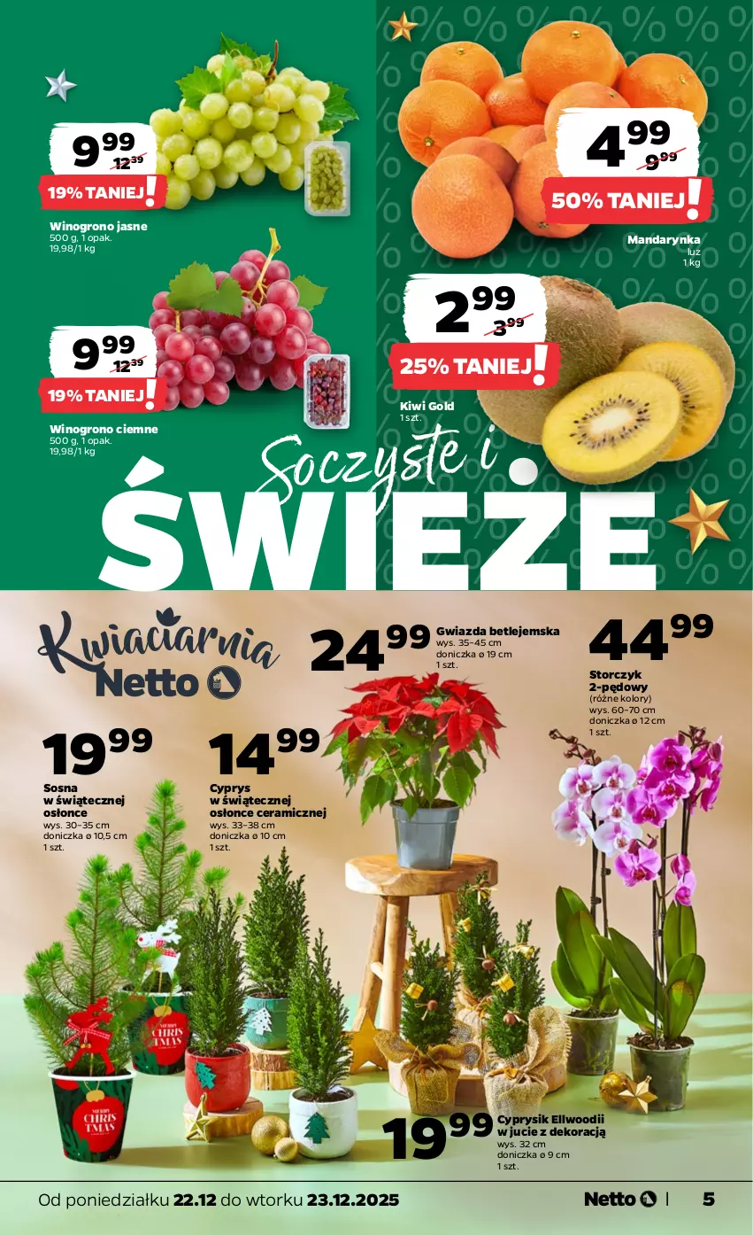 Gazetka promocyjna Netto - Od Poniedziałku - ważna 22.12 do 23.12.2025 - strona 5 - produkty: Cyprysik, Gwiazda, Kiwi, Sos, Storczyk, Wino