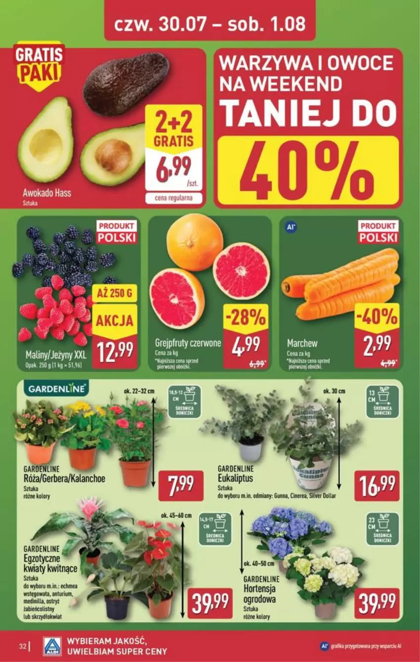 Gazetka promocyjna Aldi - Pełna oferta - ważna 27.07 do 01.08.2026 - strona 32 - produkty: Gerber, Gra, Kalanchoe, Owoce, Róża, Szyna, Warzywa, Warzywa i owoce