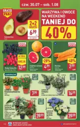 Gazetka promocyjna Aldi - Pełna oferta - Gazetka - ważna od 01.08 do 01.08.2026 - strona 32 - produkty: Warzywa, Gra, Gerber, Róża, Warzywa i owoce, Kalanchoe, Szyna, Owoce