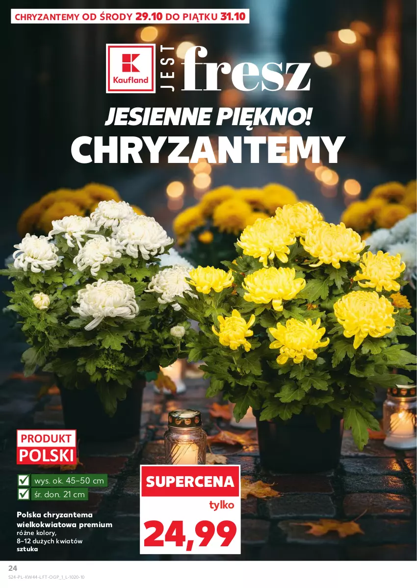 Gazetka promocyjna Kaufland - Gazetka tygodnia - ważna 29.10 do 05.11.2025 - strona 24 - produkty: Chryzantema
