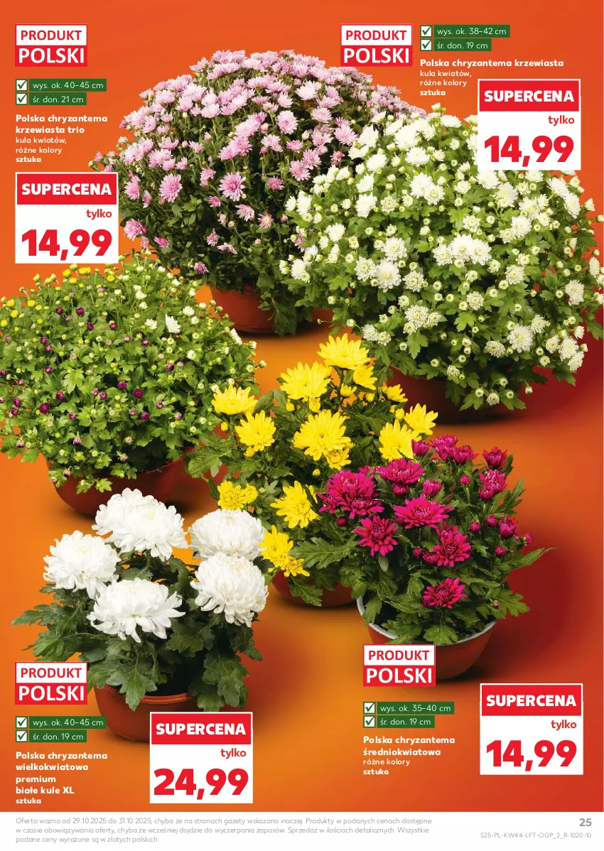 Gazetka promocyjna Kaufland - Gazetka tygodnia - ważna 29.10 do 05.11.2025 - strona 25 - produkty: Chryzantema