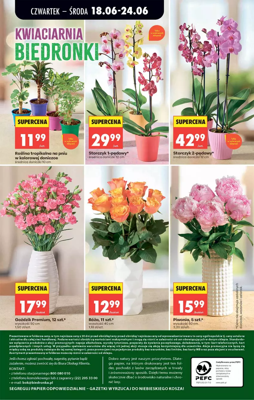 Gazetka promocyjna Biedronka - Od Czwartku - ważna 18.06 do 24.06.2026 - strona 64 - produkty: Gra, Kosz, Napoje, Papier, Piwo, Róża, Sok, Storczyk, Telefon, Wazon