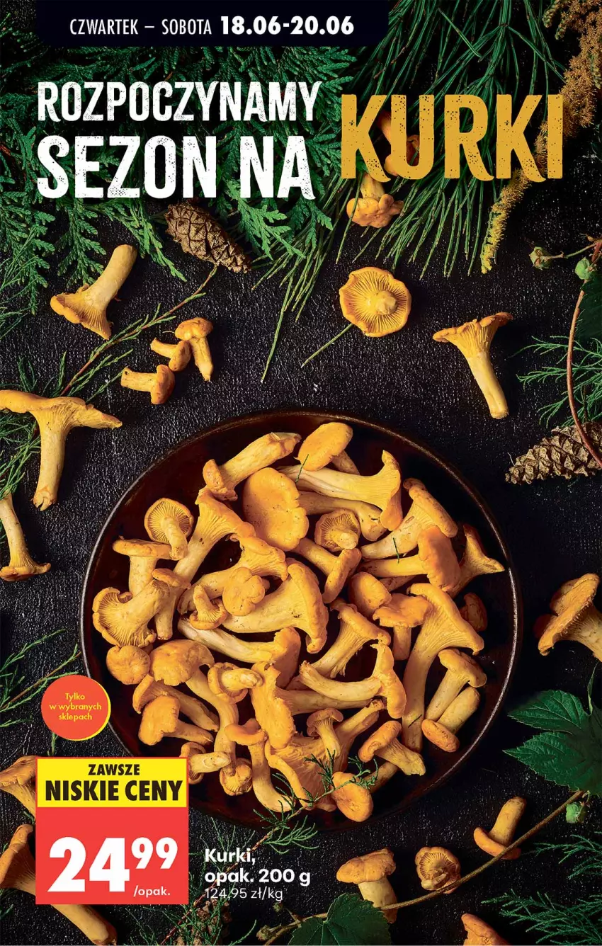 Gazetka promocyjna Biedronka - Od Czwartku - ważna 18.06 do 24.06.2026 - strona 69