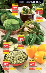 Gazetka promocyjna Biedronka - Od Czwartku - Gazetka - ważna od 24.06 do 24.06.2026 - strona 25 - produkty: Papryka, Papryka żółta