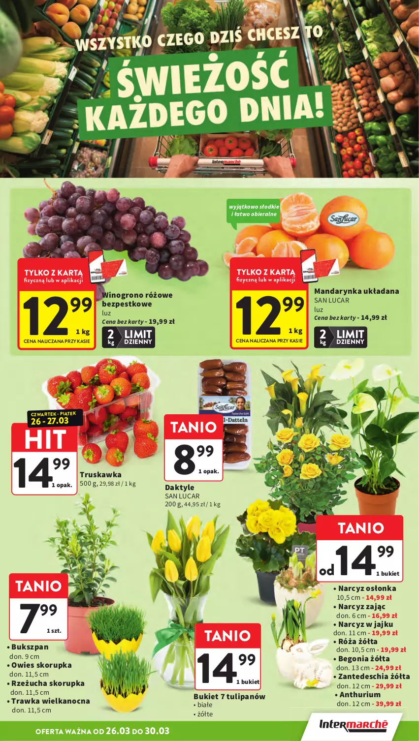Gazetka promocyjna Intermarche - Gazetka promocyjna - ważna 26.03 do 30.03.2026 - strona 15 - produkty: Bukiet, Chia, Daktyle, Narcyz, Osłonka, Róża, Rzeżucha, Tulipan, Wino