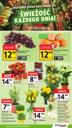 Gazetka promocyjna Intermarche - Gazetka promocyjna - Gazetka - ważna od 30.03 do 30.03.2026 - strona 15 - produkty: Tulipan, Róża, Rzeżucha, Chia, Daktyle, Bukiet, Narcyz, Wino, Osłonka