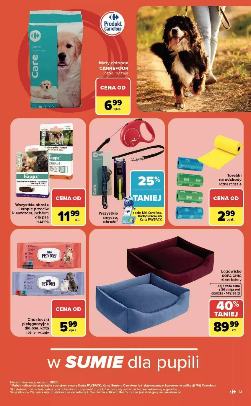 Gazetka promocyjna Carrefour - Gazetka ZOOkątek w SUMIE sama miłość - ważna 22.06 do 04.07.2026 - strona 13 - produkty: Chusteczki, Fa, LEGO, Por, Smycz, Sofa