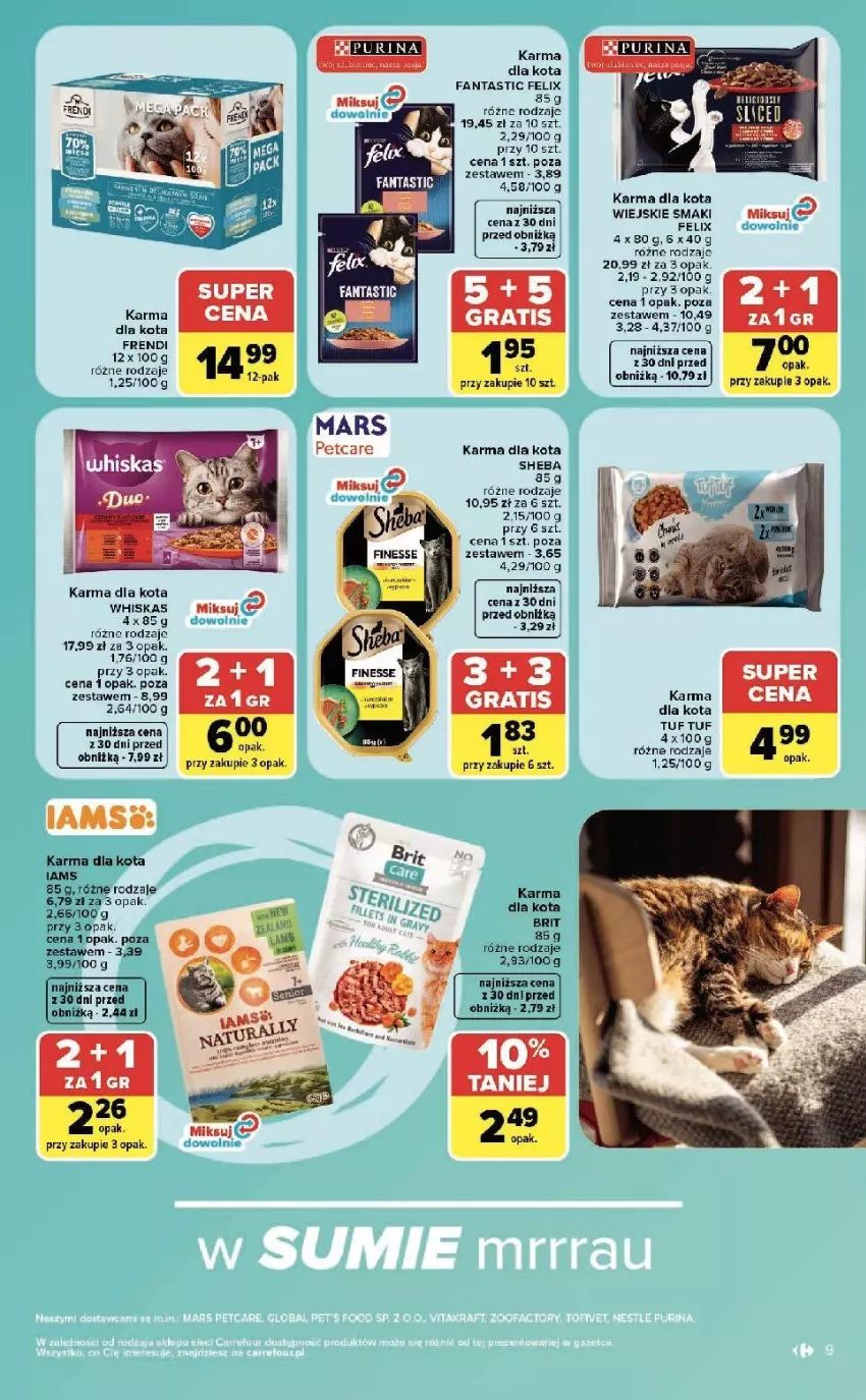 Gazetka promocyjna Carrefour - Gazetka ZOOkątek w SUMIE sama miłość - ważna 22.06 do 04.07.2026 - strona 9 - produkty: Brit, Fa, Fanta, Felix, Iams, Whiskas