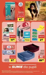 Gazetka promocyjna Carrefour - Gazetka ZOOkątek w SUMIE sama miłość - Gazetka - ważna od 04.07 do 04.07.2026 - strona 13 - produkty: Por, Sofa, LEGO, Smycz, Chusteczki, Fa