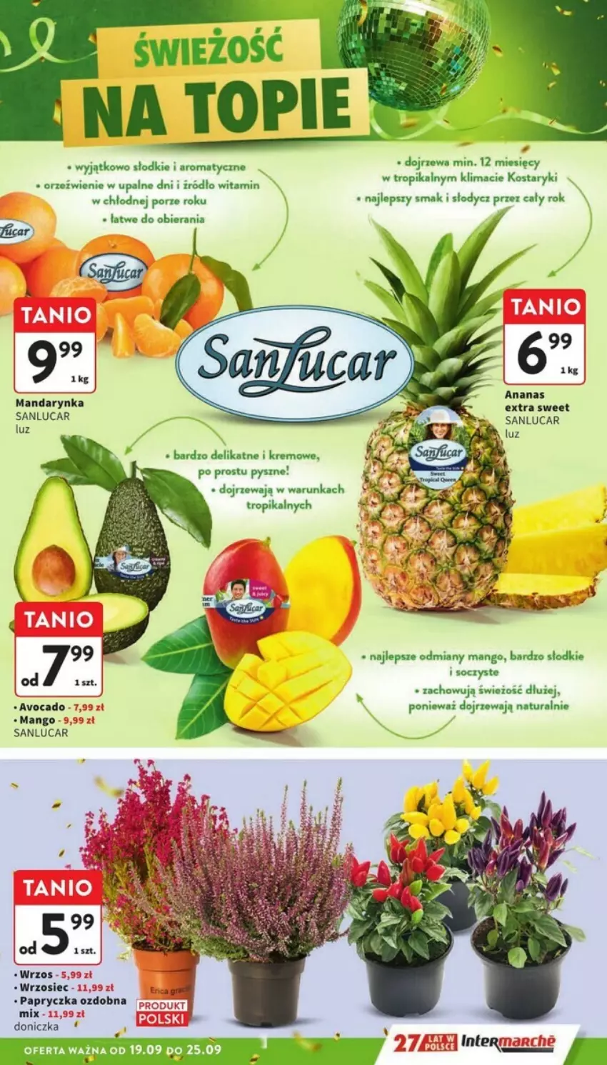 Gazetka promocyjna Intermarche - ważna 19.09 do 25.09.2024 - strona 48 - produkty: Mango, Por