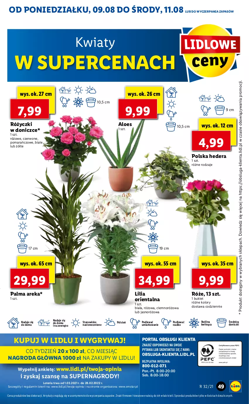 Gazetka promocyjna Lidl - GAZETKA - ważna 09.08 do 11.08.2021 - strona 49 - produkty: Bukiet, Cień, Gry, Mola, O nas, Palma