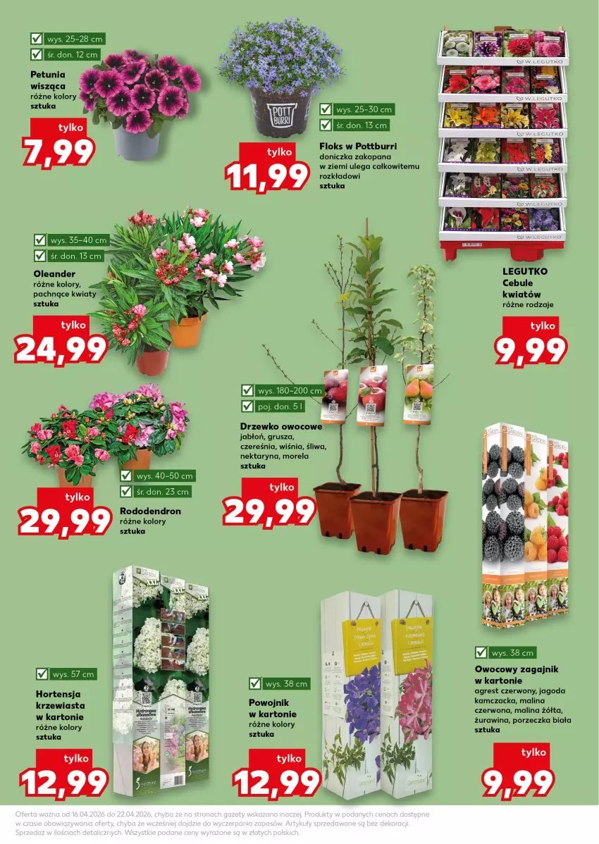 Gazetka promocyjna Kaufland - Kaufland - ważna 16.04 do 22.04.2026 - strona 11 - produkty: Gres, Morela, Nektar, Por