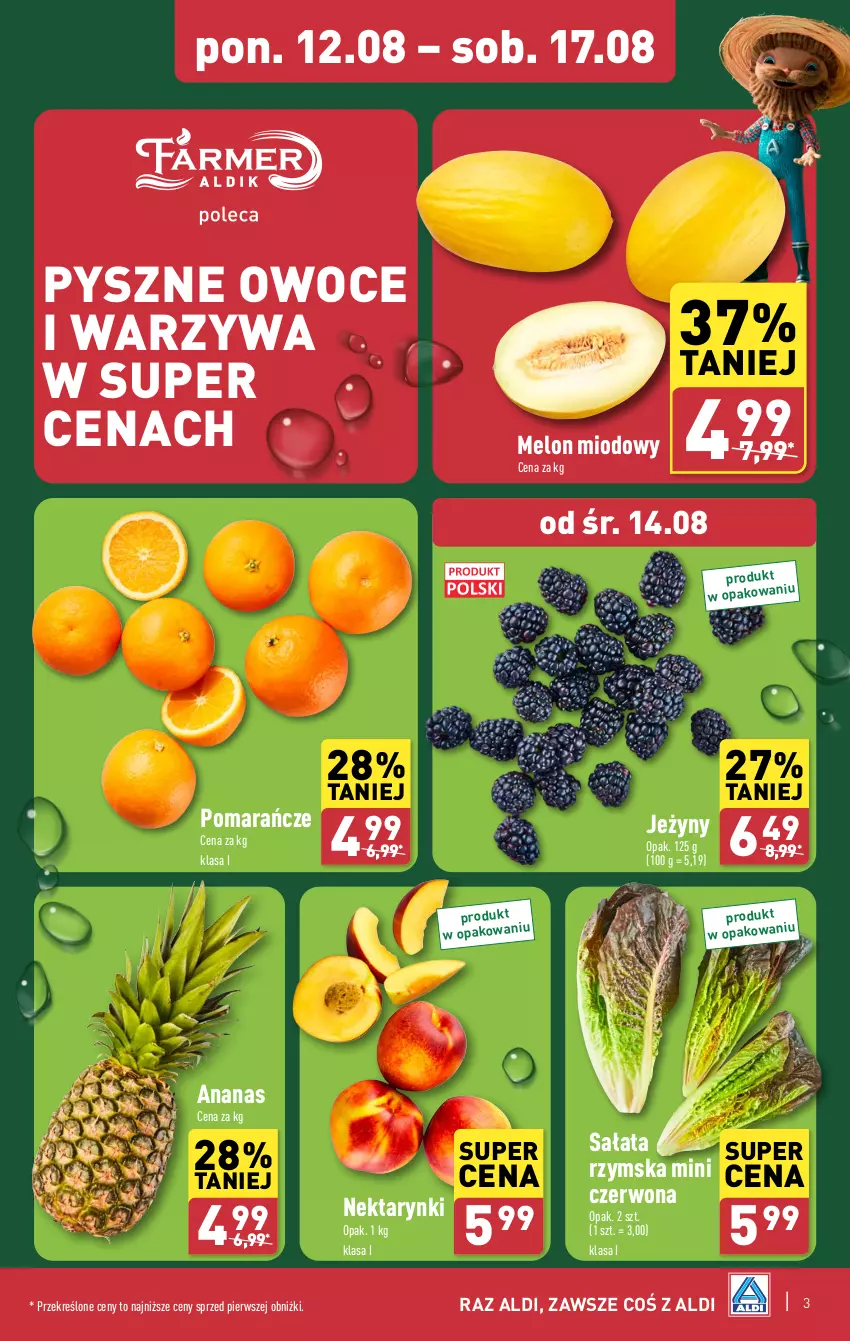 Gazetka promocyjna Aldi - Farmer ALDIK poleca świeże owoce i warzywa - ważna 12.08 do 17.08.2024 - strona 3 - produkty: Ananas, Jeżyny, Melon, Nektar, Owoce, Pomarańcze, Sałat, Warzywa