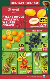 Gazetka promocyjna Aldi - Farmer ALDIK poleca świeże owoce i warzywa - Gazetka - ważna od 17.08 do 17.08.2024 - strona 3 - produkty: Warzywa, Jeżyny, Ananas, Pomarańcze, Sałat, Owoce, Melon, Nektar