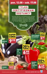 Gazetka promocyjna Aldi - Farmer ALDIK poleca świeże owoce i warzywa - Gazetka - ważna od 17.08 do 17.08.2024 - strona 5 - produkty: Papryka, Czosnek, Sałat, Pomidory