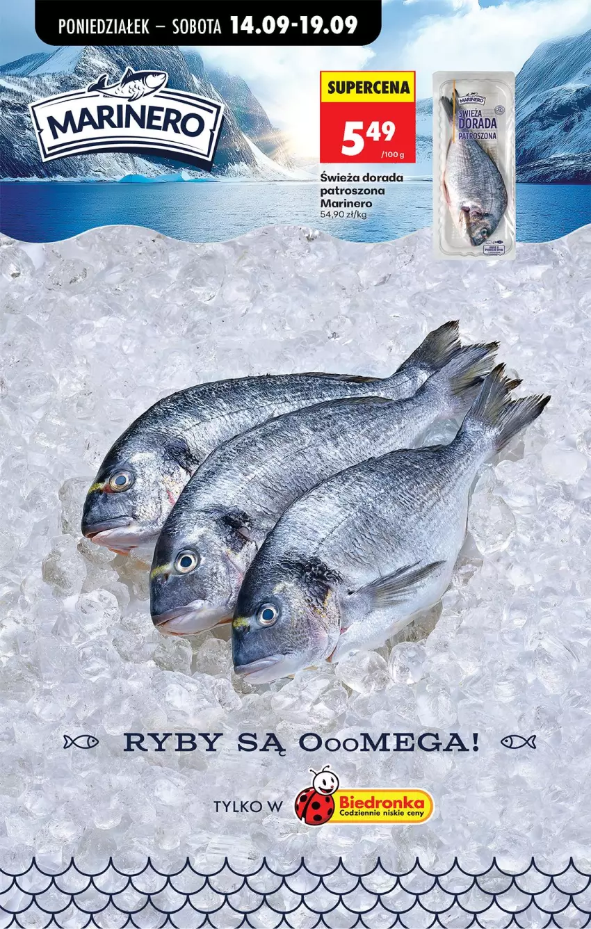 Gazetka promocyjna Biedronka - Od Poniedziałku - ważna 14.09 do 19.09.2026 - strona 44