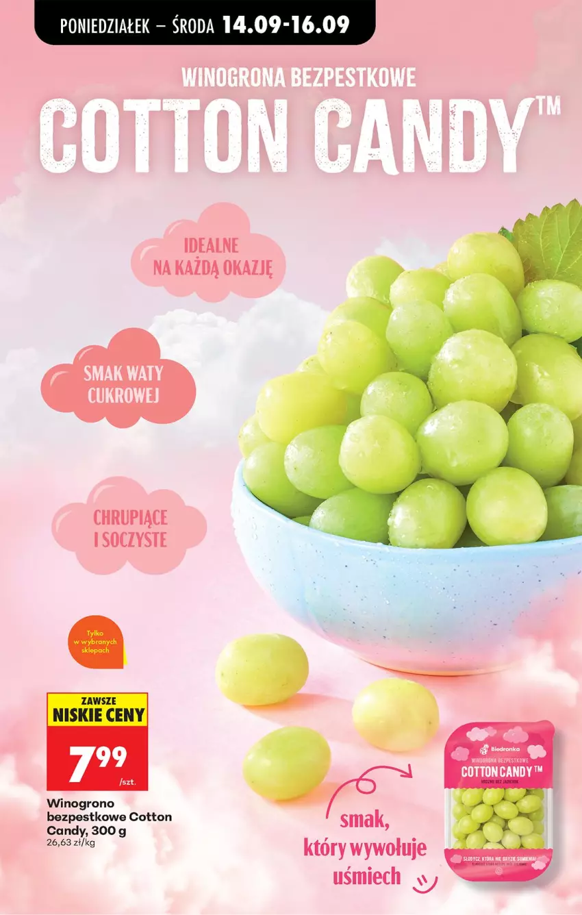 Gazetka promocyjna Biedronka - Od Poniedziałku - ważna 14.09 do 19.09.2026 - strona 98 - produkty: Candy, Wino