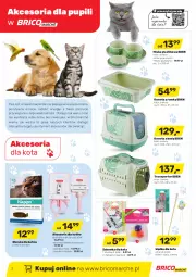 Gazetka promocyjna Bricomarche - Gazetka - Gazetka - ważna od 02.10 do 02.10.2021 - strona 2 - produkty: Ser, Por, Ryba, Szczotka, Królik, Tran, Zabawka, Sport, Kuweta, Miska