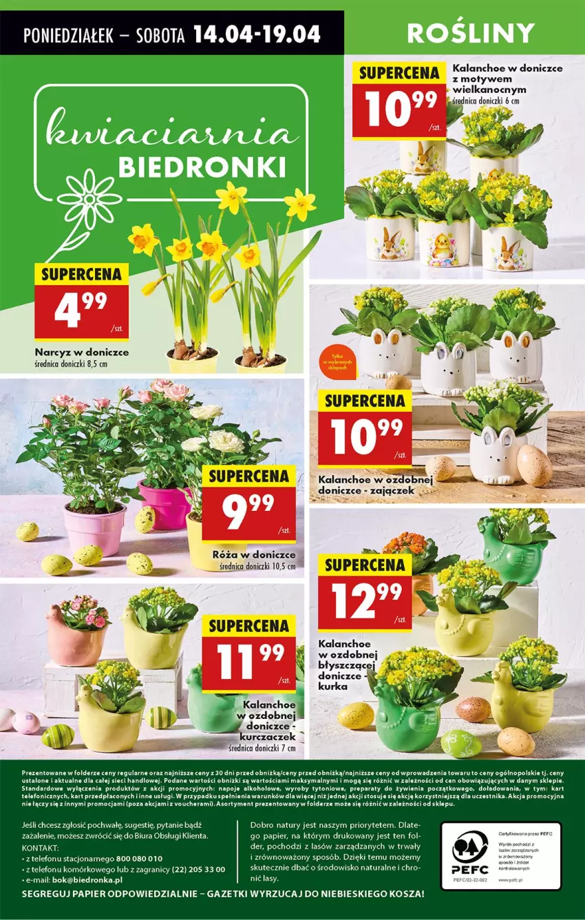 Gazetka promocyjna Biedronka - Od Poniedziałku - ważna 14.04 do 19.04.2025 - strona 72 - produkty: Gra, Kalanchoe, Kosz, Napoje, Narcyz, Papier, Róża, Telefon