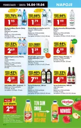 Gazetka promocyjna Biedronka - Od Poniedziałku - Gazetka - ważna od 19.04 do 19.04.2025 - strona 54 - produkty: Nałęczowianka, Sok, Mus, Gra, LANA, Muszynianka, Tymbark, Syrop, Szyna, Cappy, Woda mineralna, Napój niegazowany, Woda, Napój, Nektar, Fa