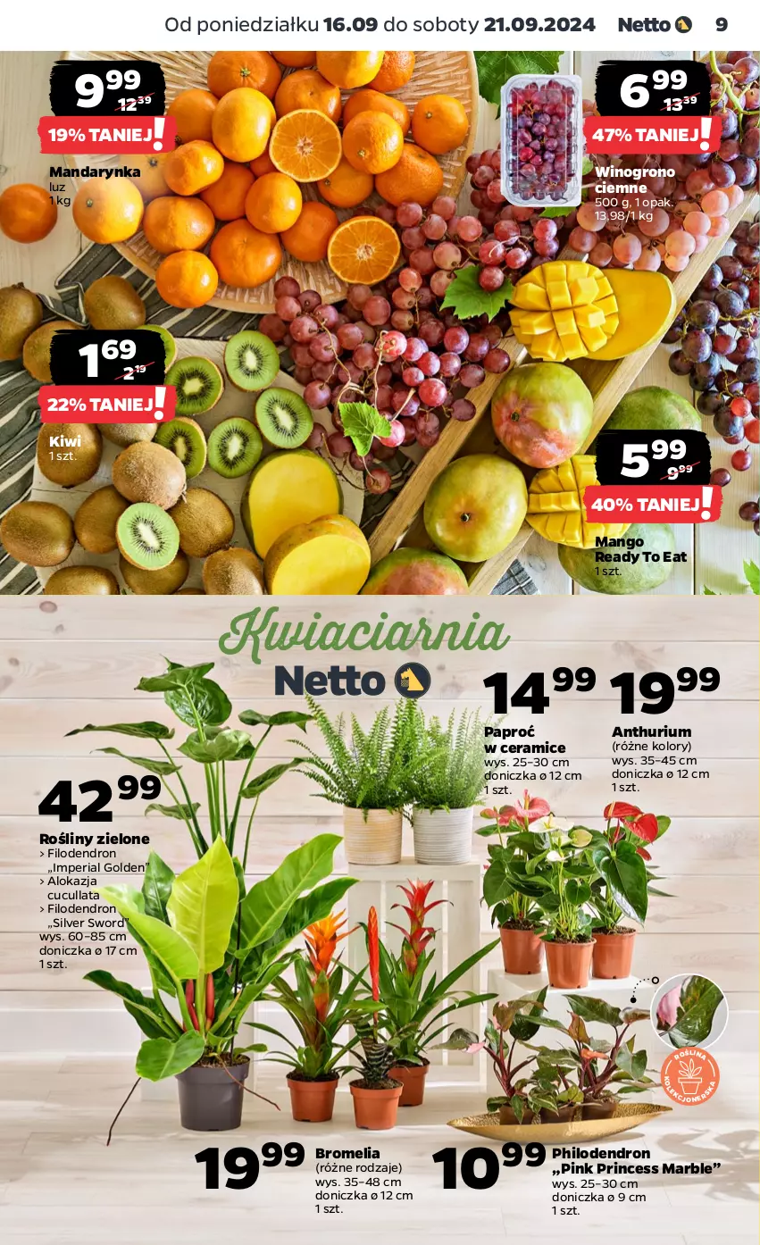 Gazetka promocyjna Netto - Netto Gazetka Food 38/24A - ważna 16.09 do 21.09.2024 - strona 9 - produkty: Bromelia, Kiwi, Mango, Wino