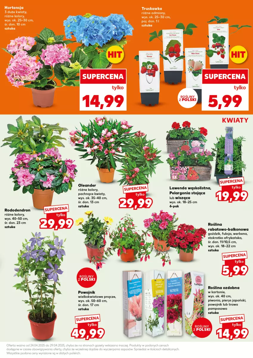 Gazetka promocyjna Kaufland - Mocny Start - ważna 28.04 do 29.04.2025 - strona 19 - produkty: Piwo