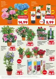 Gazetka promocyjna Kaufland - Mocny Start - Gazetka - ważna od 29.04 do 29.04.2025 - strona 19 - produkty: Piwo