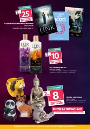 Gazetka promocyjna Dealz - MEGA OKAZJE
czwartek - piątek - sobota - Gazetka - ważna od 03.07 do 03.07.2021 - strona 3 - produkty: Książka, Ozdoba