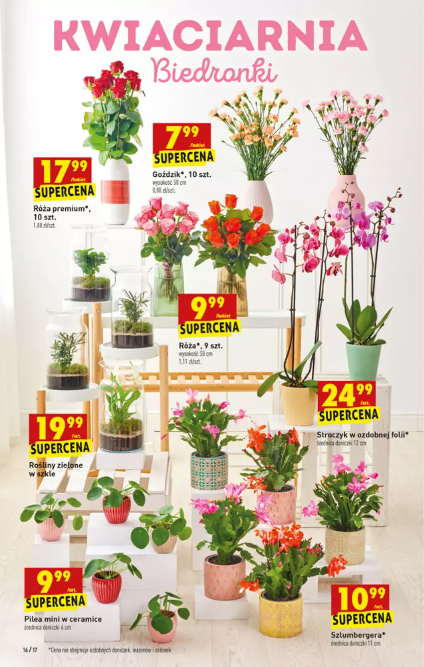 Gazetka promocyjna Biedronka - W tym tygodniu - ważna 08.11 do 13.11.2021 - strona 16 - produkty: Róża, Sok, Szlumbergera