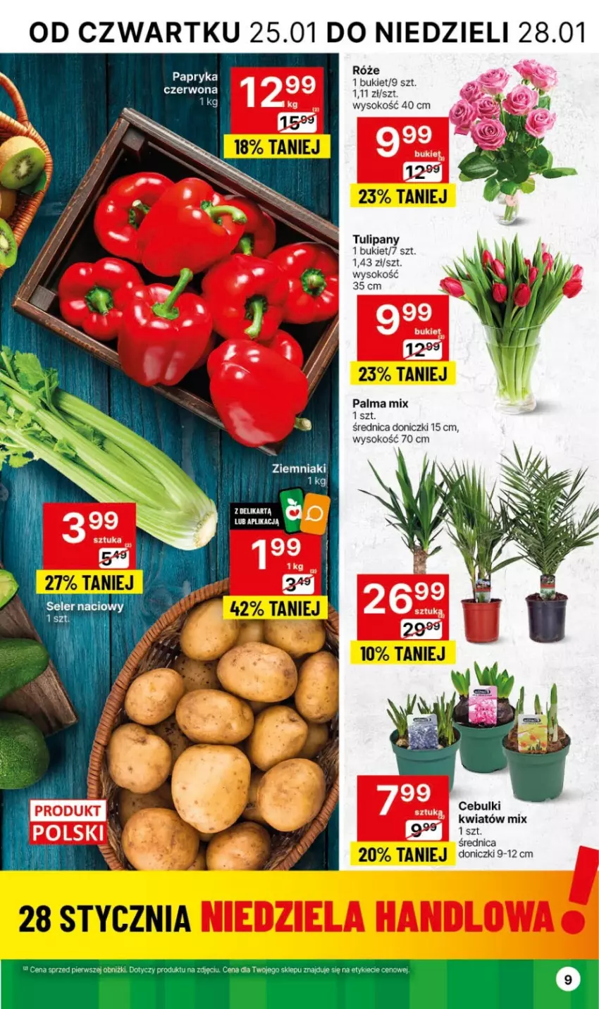 Gazetka promocyjna Delikatesy Centrum - Dyskontowe ceny w Delikatesach Centrum - ważna 25.01 do 31.01.2024 - strona 9 - produkty: Bukiet, Palma, Papryka, Sok, Tulipan, Ziemniaki