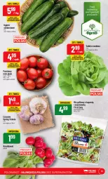 Gazetka promocyjna PoloMarket - Gazetka pomocyjna - Gazetka - ważna od 06.06 do 06.06.2023 - strona 19 - produkty: Sałata masłowa, Czosnek, Sałat, Kapustą, Grill, Masło, Ogród, Pomidory, Fa