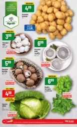 Gazetka promocyjna PoloMarket - Gazetka pomocyjna - Gazetka - ważna od 06.06 do 06.06.2023 - strona 20 - produkty: Piec, Ziemniaki, Bazyl, Bazylia, Grill, Ogród, Mięta