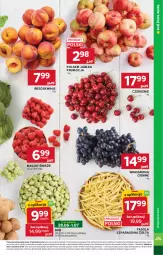 Gazetka promocyjna Stokrotka - Supermarket - Gazetka - ważna od 01.07 do 01.07.2026 - strona 15 - produkty: Warzywa, Optima, Fasola, Maliny, Winogrona, Fasola szparagowa, Brzoskwinie, Owoce, Wino, Mięso, Jabłka, Fa