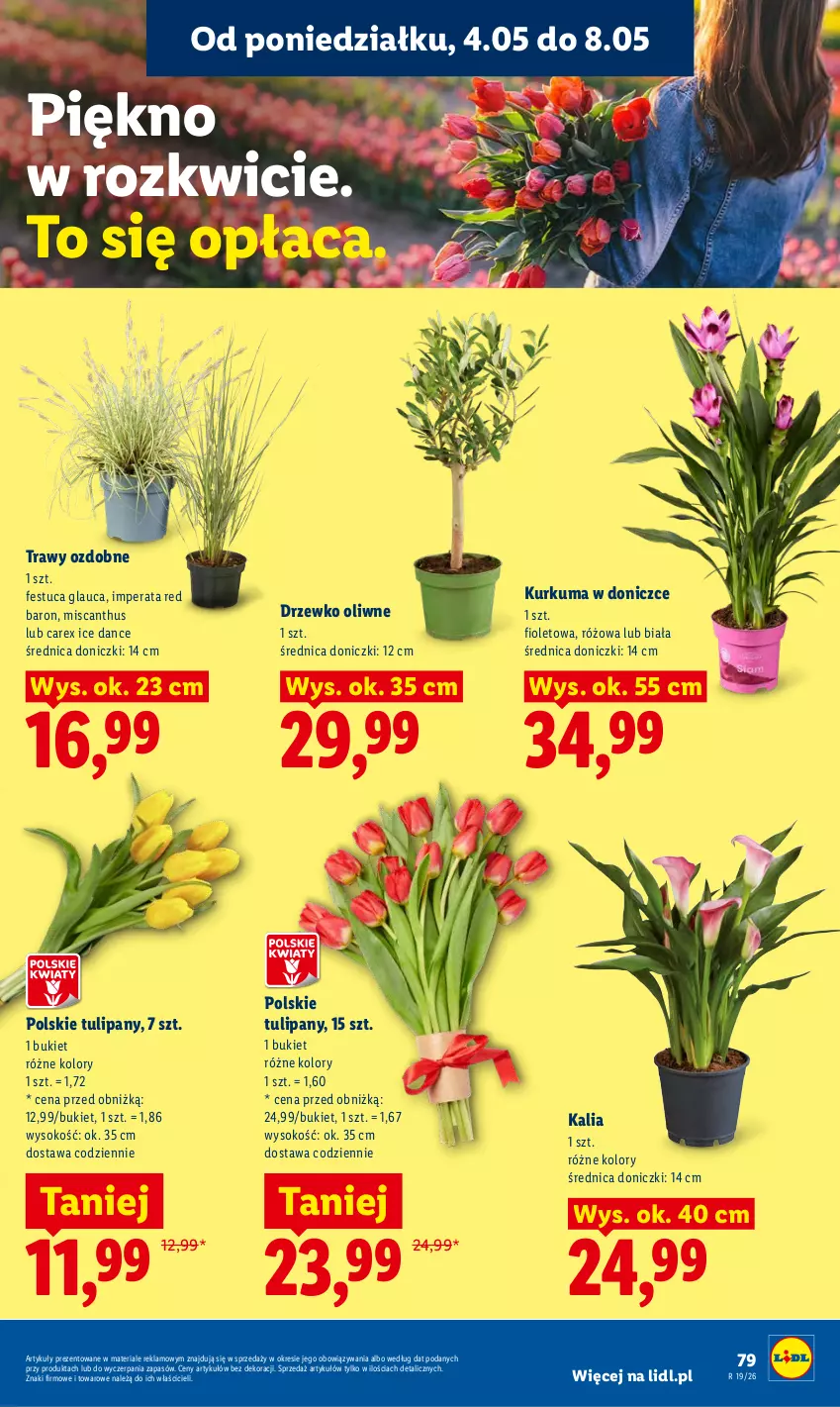Gazetka promocyjna Lidl - Gazetka ważna od 04.05 do 06.05 - ważna 04.05 do 06.05.2026 - strona 85 - produkty: Bukiet, Kurkuma, Sok, Tulipan